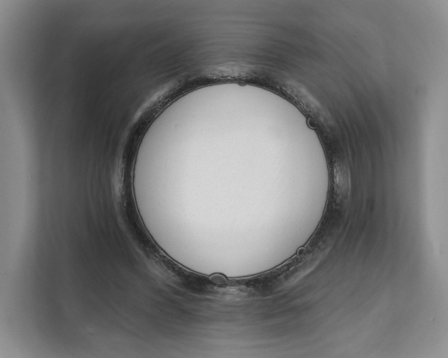 X0000111620396200908071355