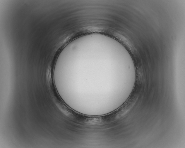 X0000111620398200908071355