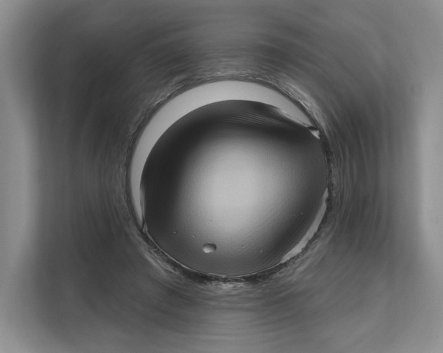 X0000111620401200908071355