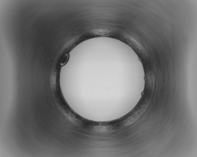 X0000111620404200908071355