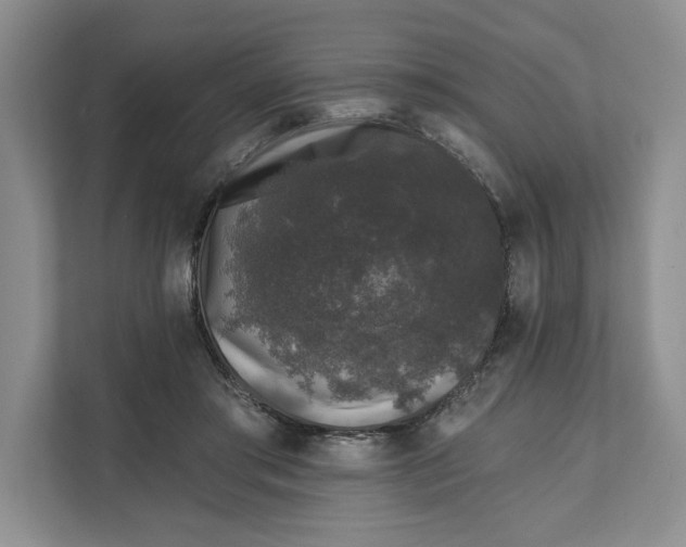 X0000111620405200908071355