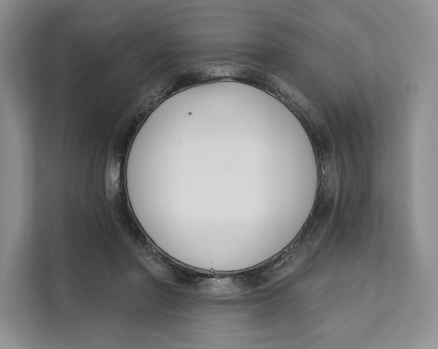 X0000111620406200908071355