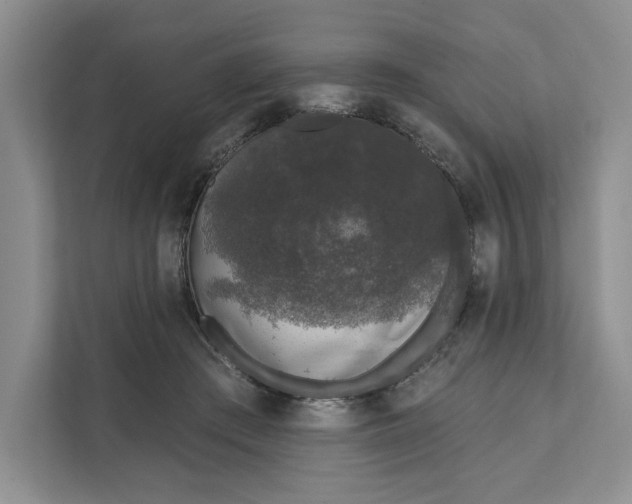 X0000111620409200908071355