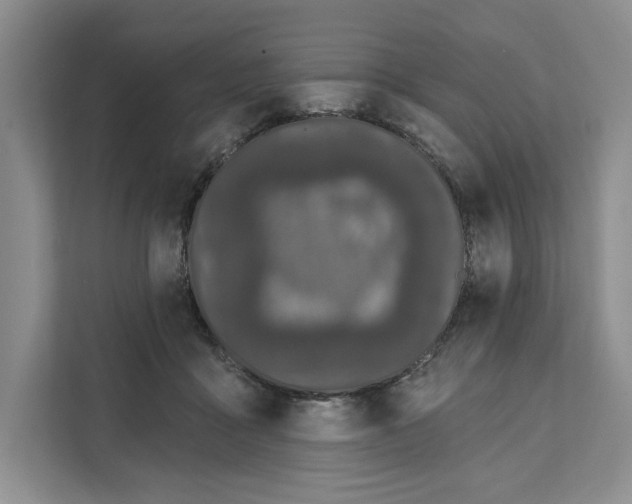 X0000111620411200908071355