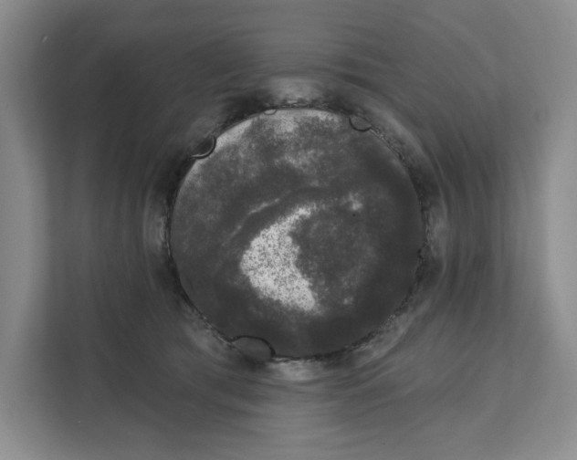 X0000111620417200908071354