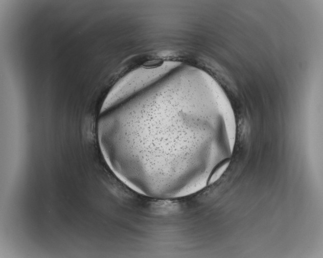 X0000111620421200908071354