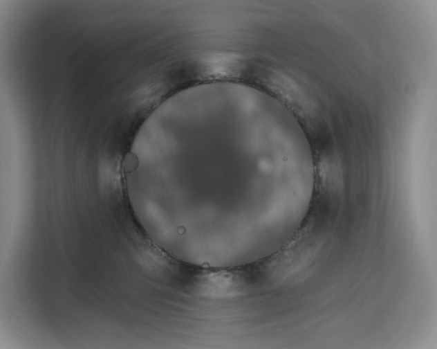 X0000111620423200908071354