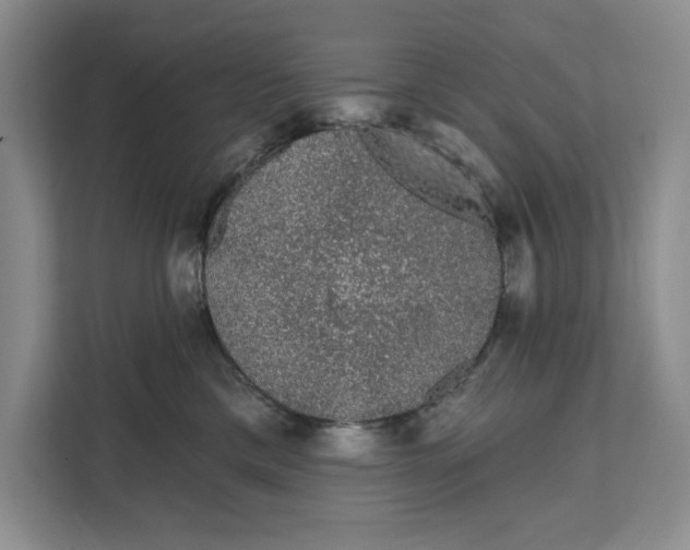 X0000111620425200908071354