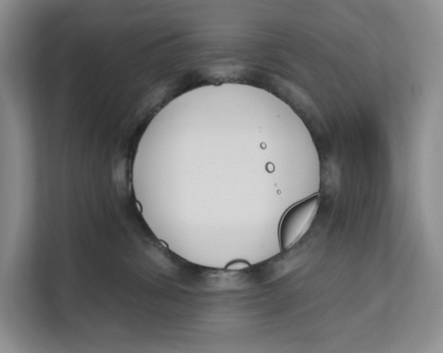 X0000111620428200908071354