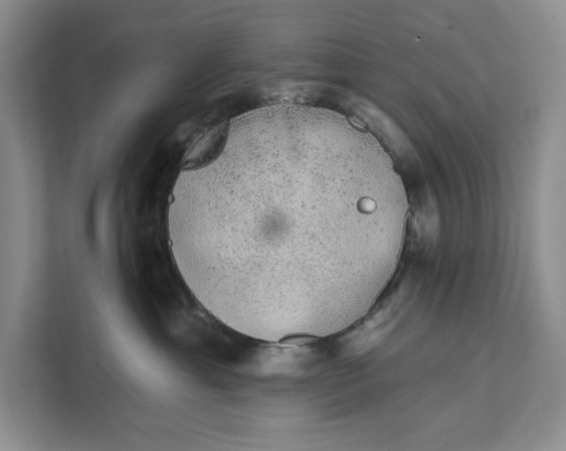 X0000111620429200908071354