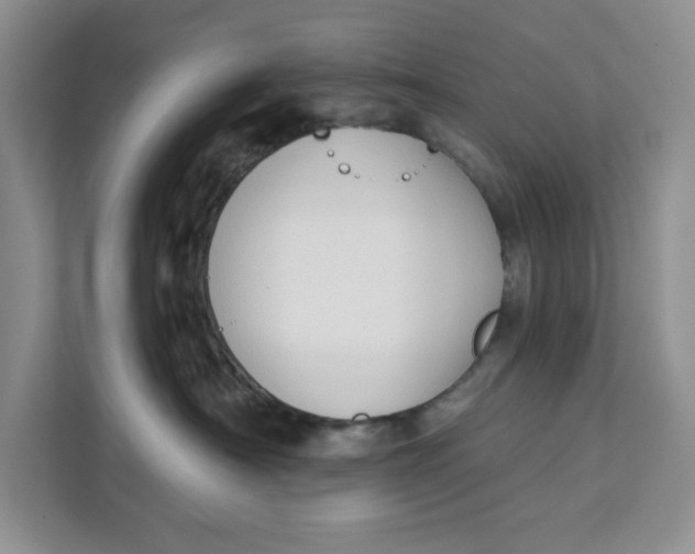 X0000111620430200908071354