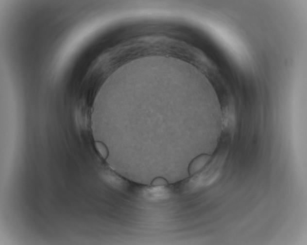 X0000111620431200908071354