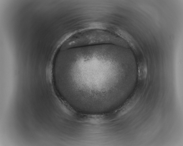 X0000111620436200908071354