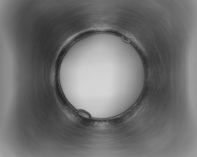 X0000111620440200908071354