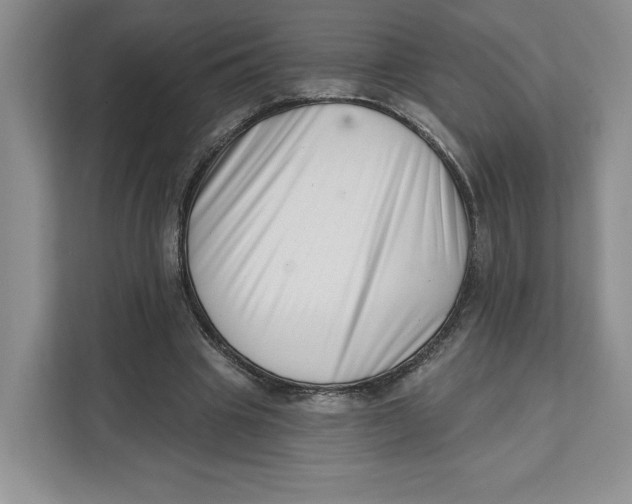 X0000111620441200908071354