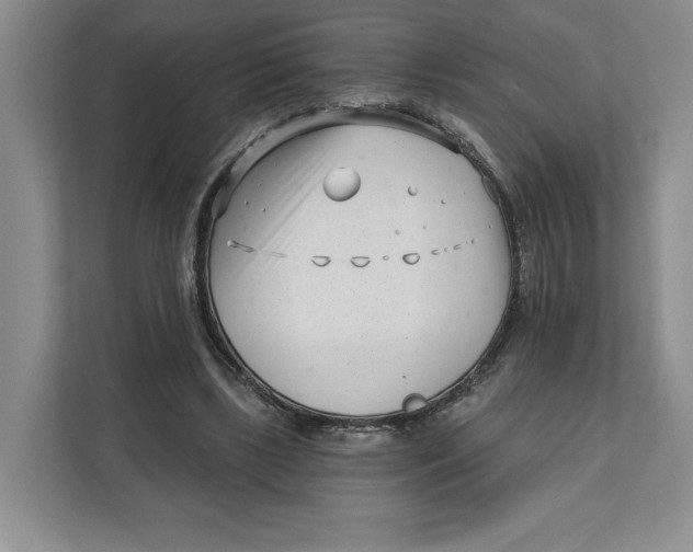 X0000111620443200908071354