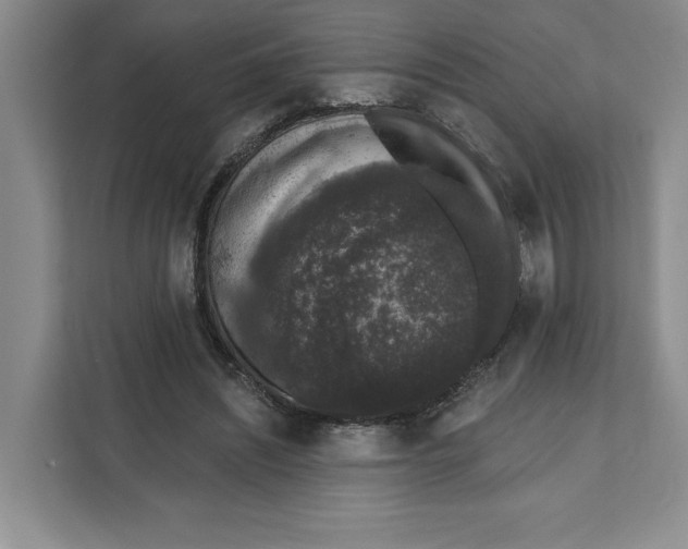 X0000111620444200908071354