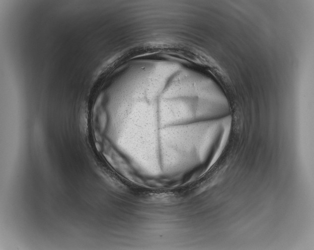 X0000111620446200908071354