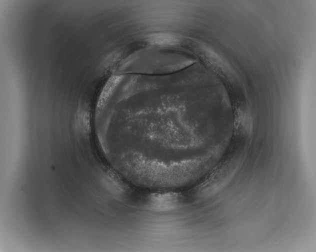 X0000111620452200908071354