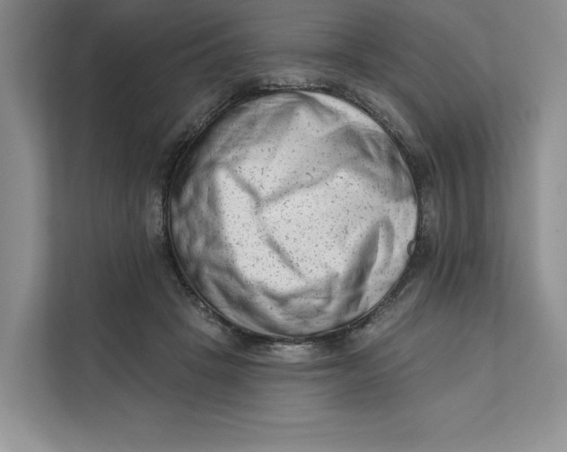 X0000111620457200908071354