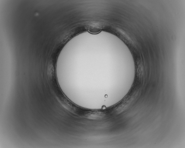 X0000111620459200908071354