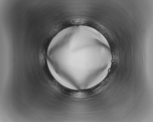 X0000111620460200908071354