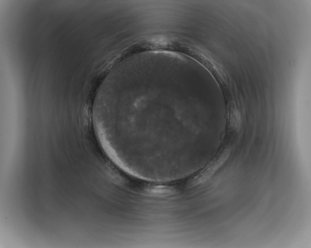 X0000111620467200908071354