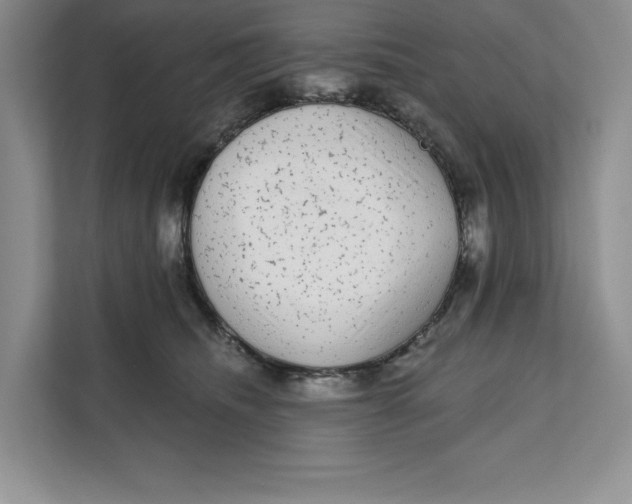 X0000111620468200908071354