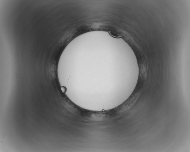 X0000111620470200908071354