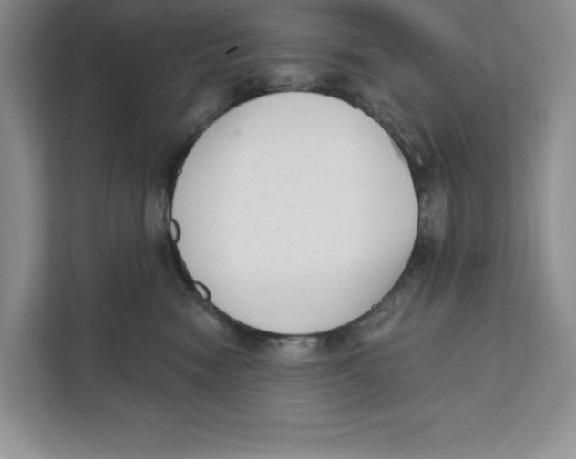 X0000111620474200908071354