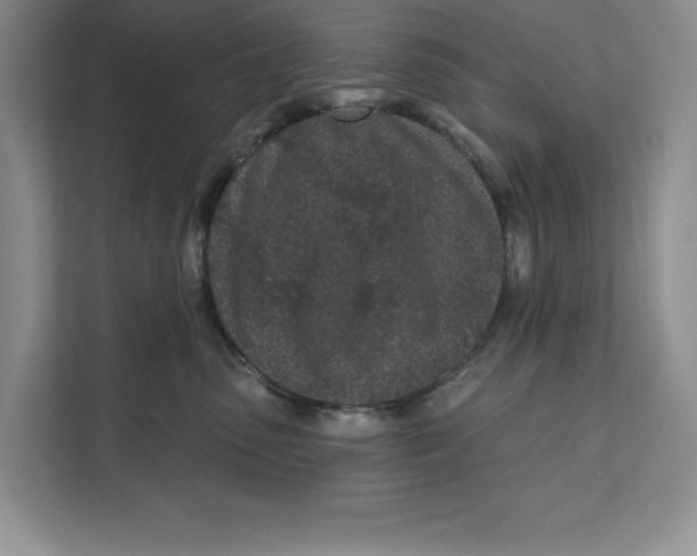 X0000111620475200908071354