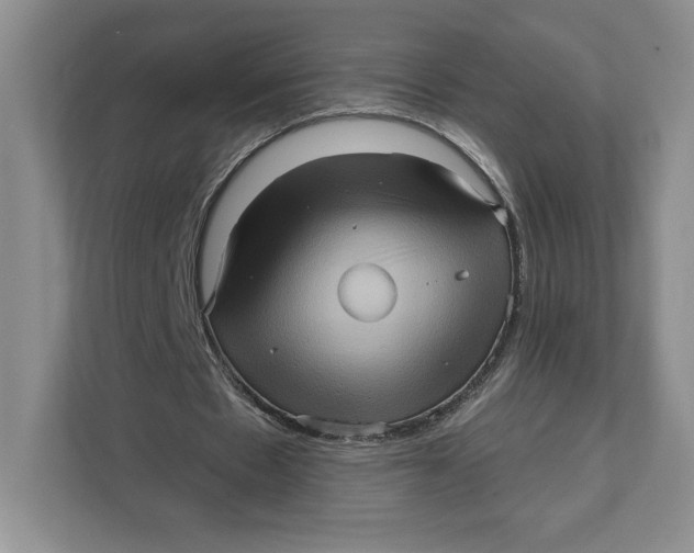 X0000111620481200908071354