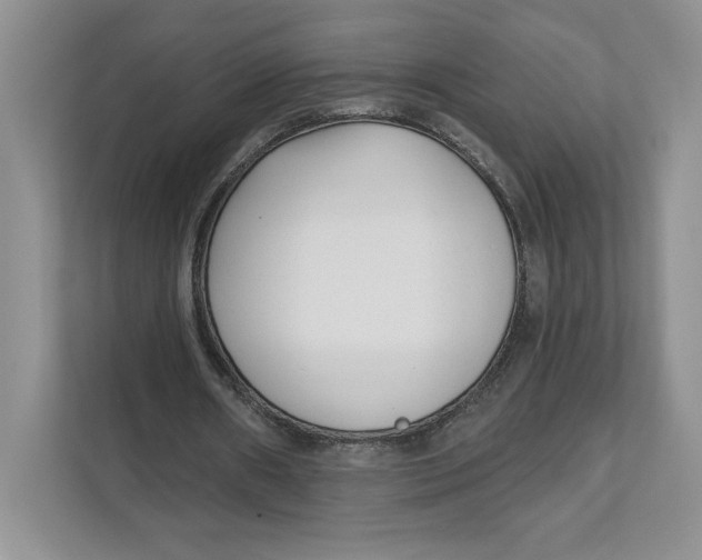 X0000111620482200908071354