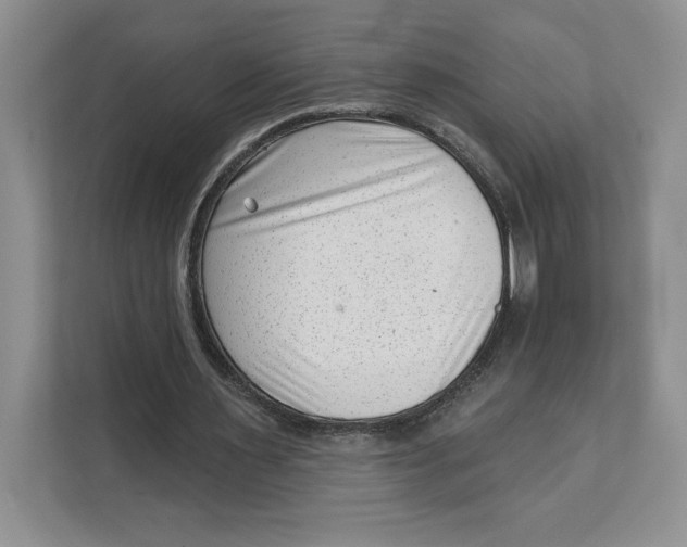 X0000111620483200908071354