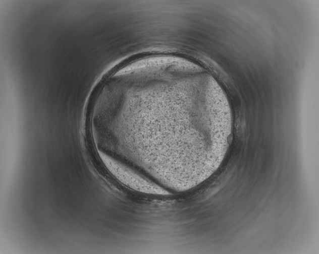 X0000111620484200908071354