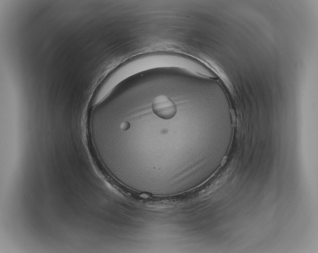 X0000111620485200908071354