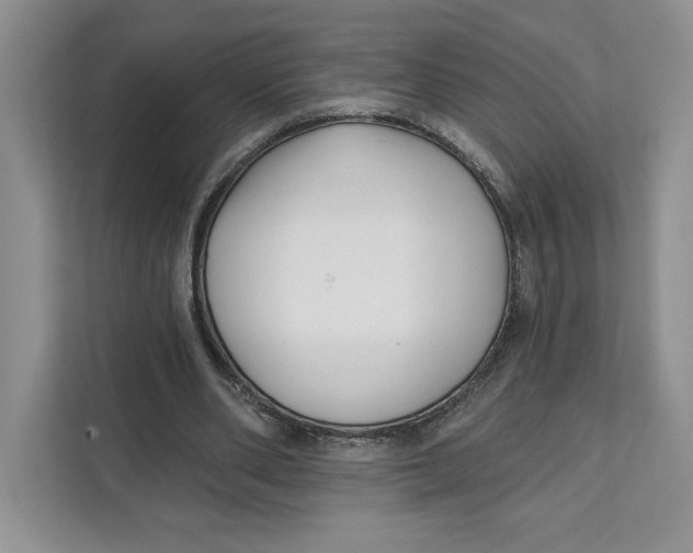 X0000111620486200908071354