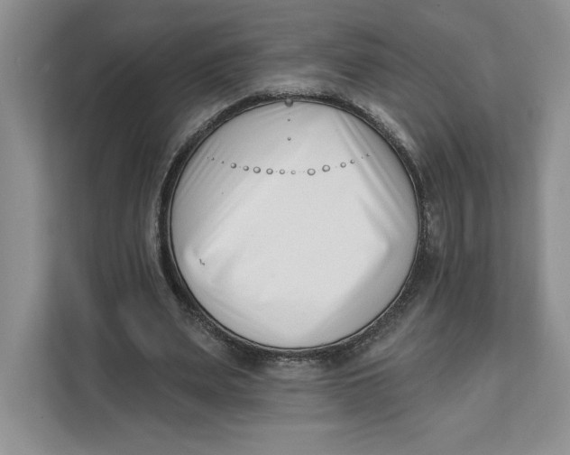 X0000111620487200908071354