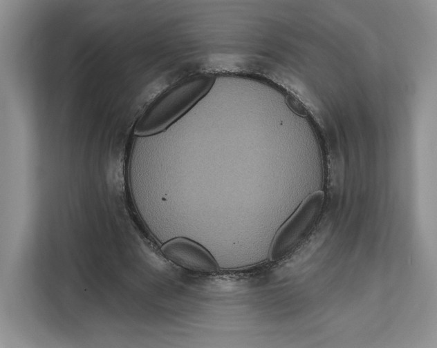 X0000111620489200908071354