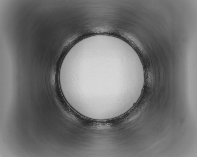 X0000111620491200908071353