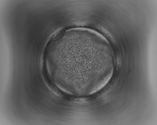 X0000111620492200908071353