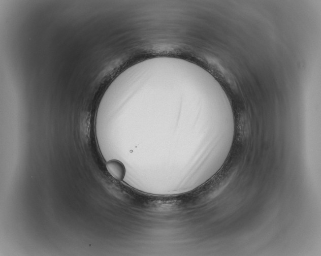 X0000111620495200908071353