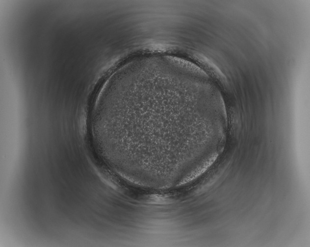 X0000111620496200908071353