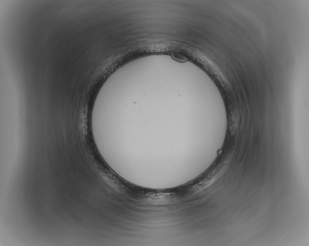 X0000111620497200908071353