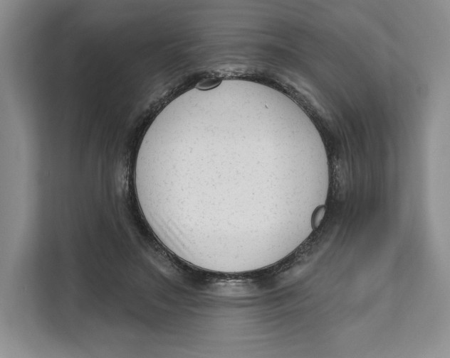 X0000111620499200908071353