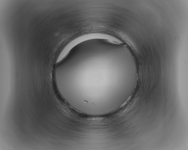 X0000111620501200908071353