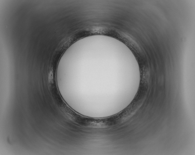 X0000111620502200908071353