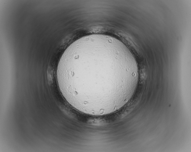 X0000111620503200908071353