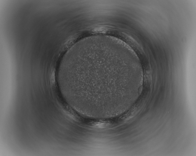 X0000111620504200908071353