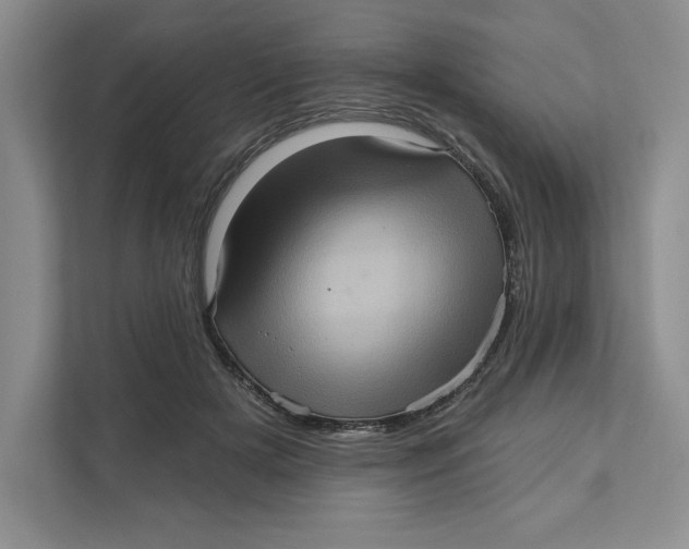 X0000111620505200908071353